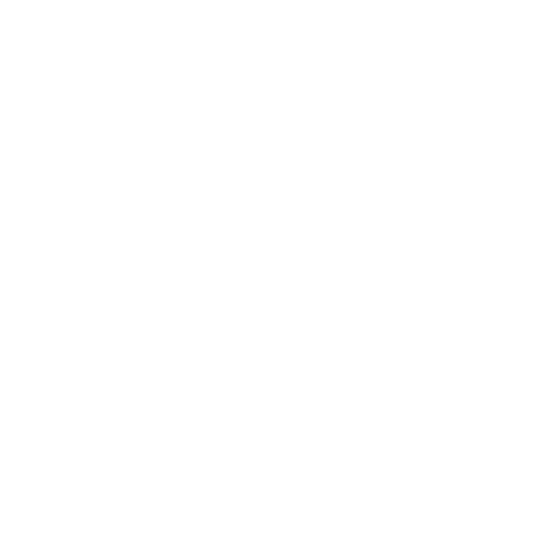 20240924-REG-C-CONC-Icon-Holistic