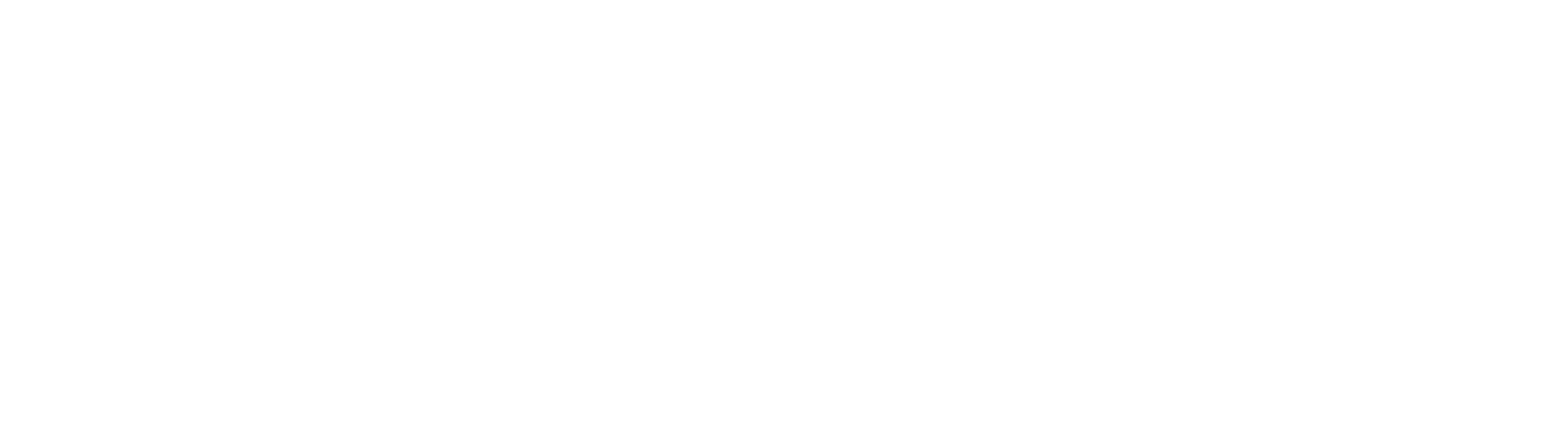 TRAVEL-Logo-TravelPro
